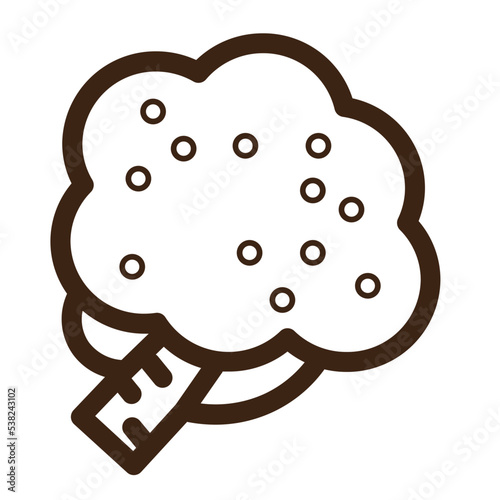 antioxidants cauliflower healthy vegetable outline icon