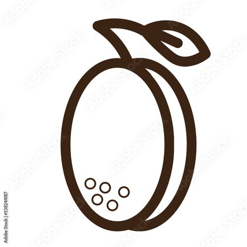 apricot fruit green healthy leaves nature vegetable outline icon