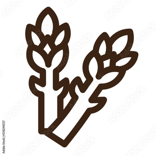 asparagus food healthy plant spear vegetable outline icon