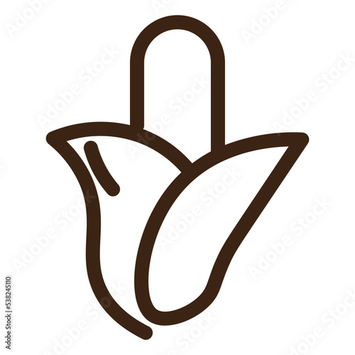 autumn corn maize popcorn vegetable outline icon