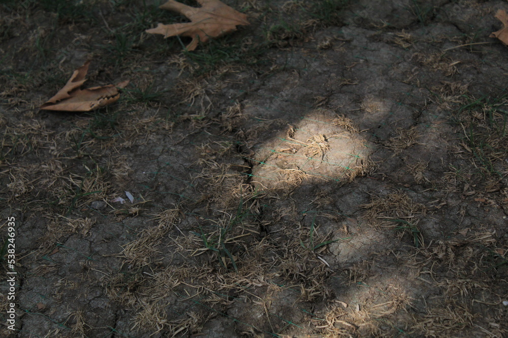 Drying soil with dry yellow grass on it.