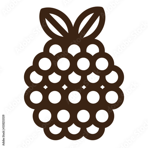 berry pile rasberries outline icon