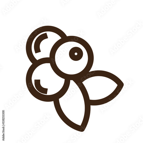 elderberries huckleberries lingonberries outline icon