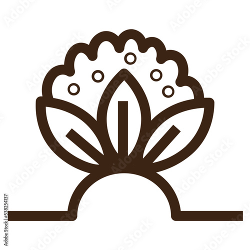 broccoli cauliflower crop farming green organic vegetable outline icon