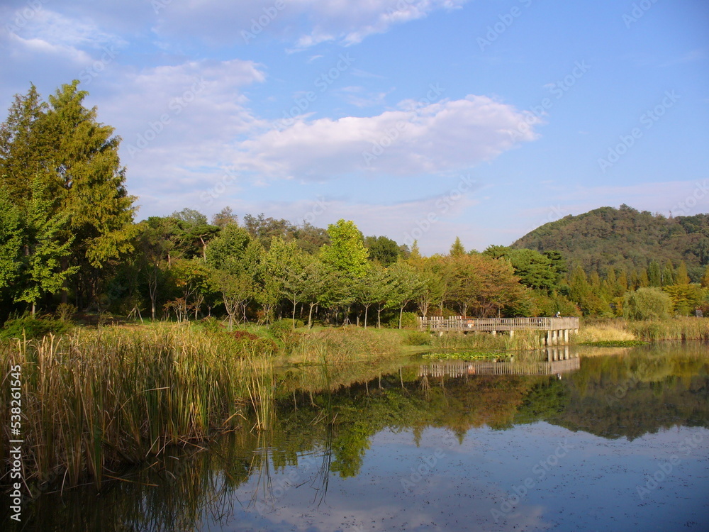 landscape with lake