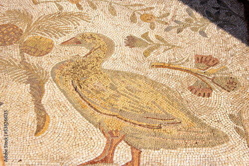 Mosaic of duck in outdoor paving in the Roman era ruins, Carthage, Tunisia photo