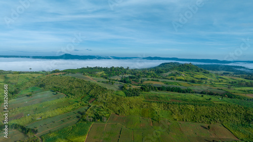 Fototapeta Naklejka Na Ścianę i Meble -  Mountains in fog at beautiful autumn in Phetchabun Thailand. Fog mountain valley, low clouds, forest, colorful sky with. pine trees in spruce foggy forest with bright sunrise