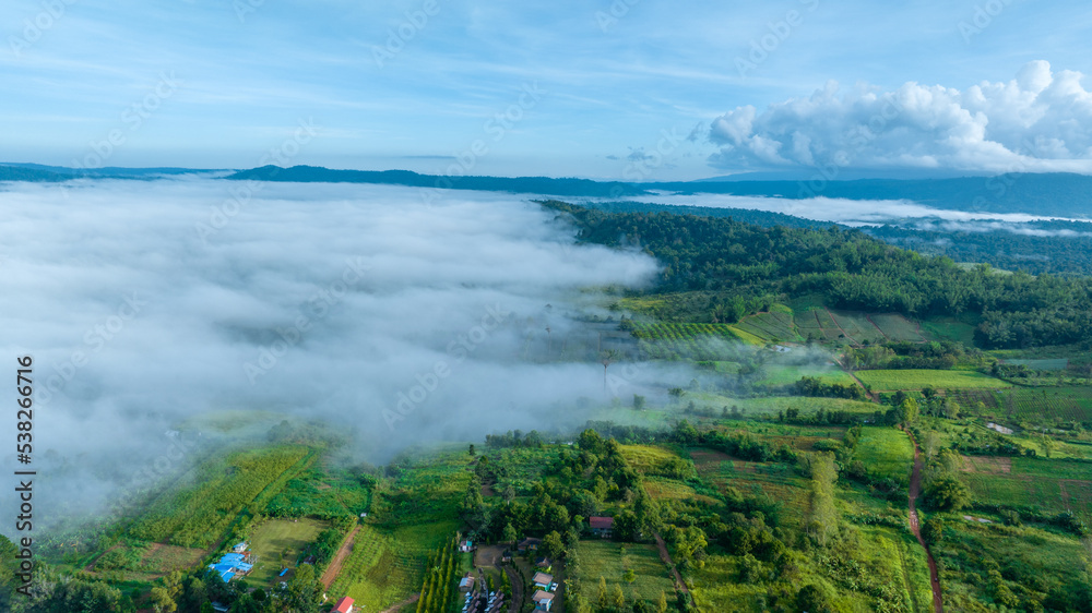 Obraz premium Mountains in fog at beautiful autumn in Phetchabun Thailand. Fog mountain valley, low clouds, forest, colorful sky with. pine trees in spruce foggy forest with bright sunrise
