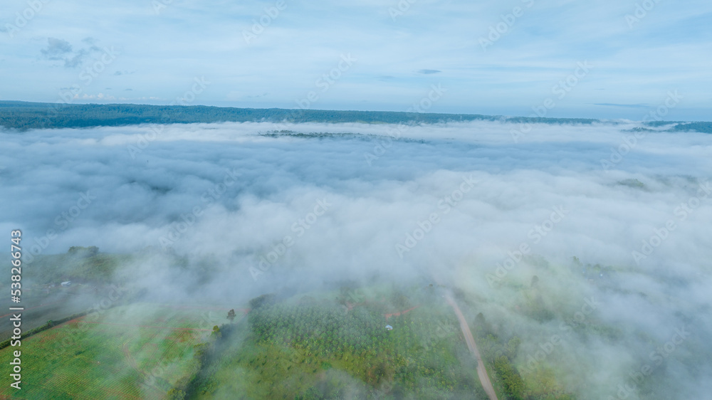 Mountains in fog at beautiful autumn in Phetchabun Thailand. Fog mountain valley, low clouds, forest, colorful sky with.  pine trees in spruce foggy forest with bright sunrise