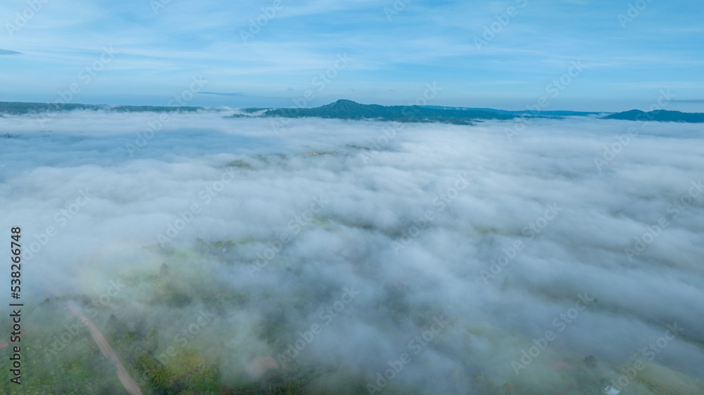 Obraz premium Mountains in fog at beautiful autumn in Phetchabun Thailand. Fog mountain valley, low clouds, forest, colorful sky with. pine trees in spruce foggy forest with bright sunrise