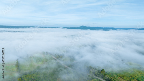 Mountains in fog at beautiful autumn in Phetchabun Thailand. Fog mountain valley, low clouds, forest, colorful sky with.  pine trees in spruce foggy forest with bright sunrise © Yellow Boat