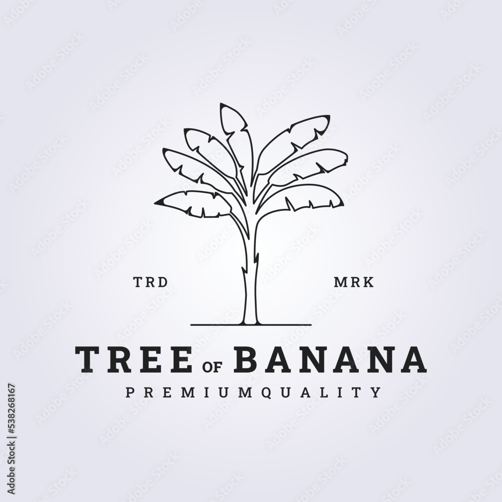 Obraz premium line banana tree vector logo illustration design