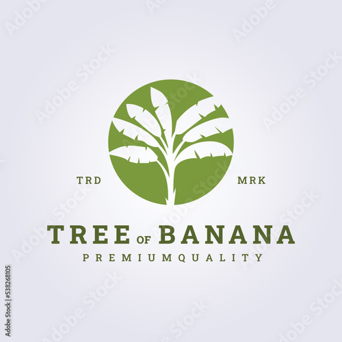 banana tree interior logo vector illustration design, banana tree in the pot