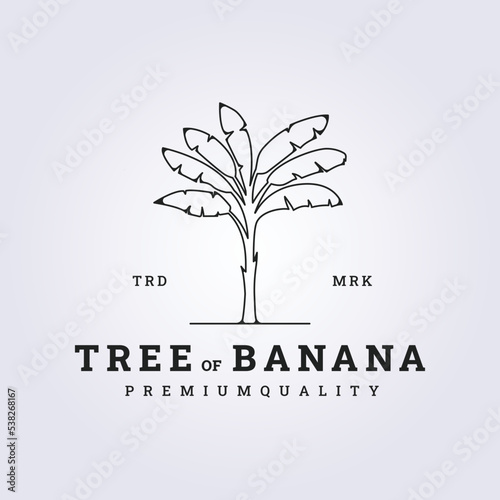 line banana tree vector logo illustration design
