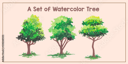 A set of watercolor tree illustration