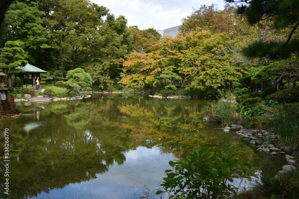 公園の池