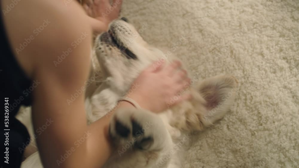 Young girl petting and carding a dog on mild carpet, caring about pet feelings, playing and taking happy emotions with pet, spending leisure time at home. Golden retriever. Young girl petting and carding a dog on mild carpet, caring about pet feelings, playing and taking happy emotions with pet, spending leisure time at home. Golden retriever.