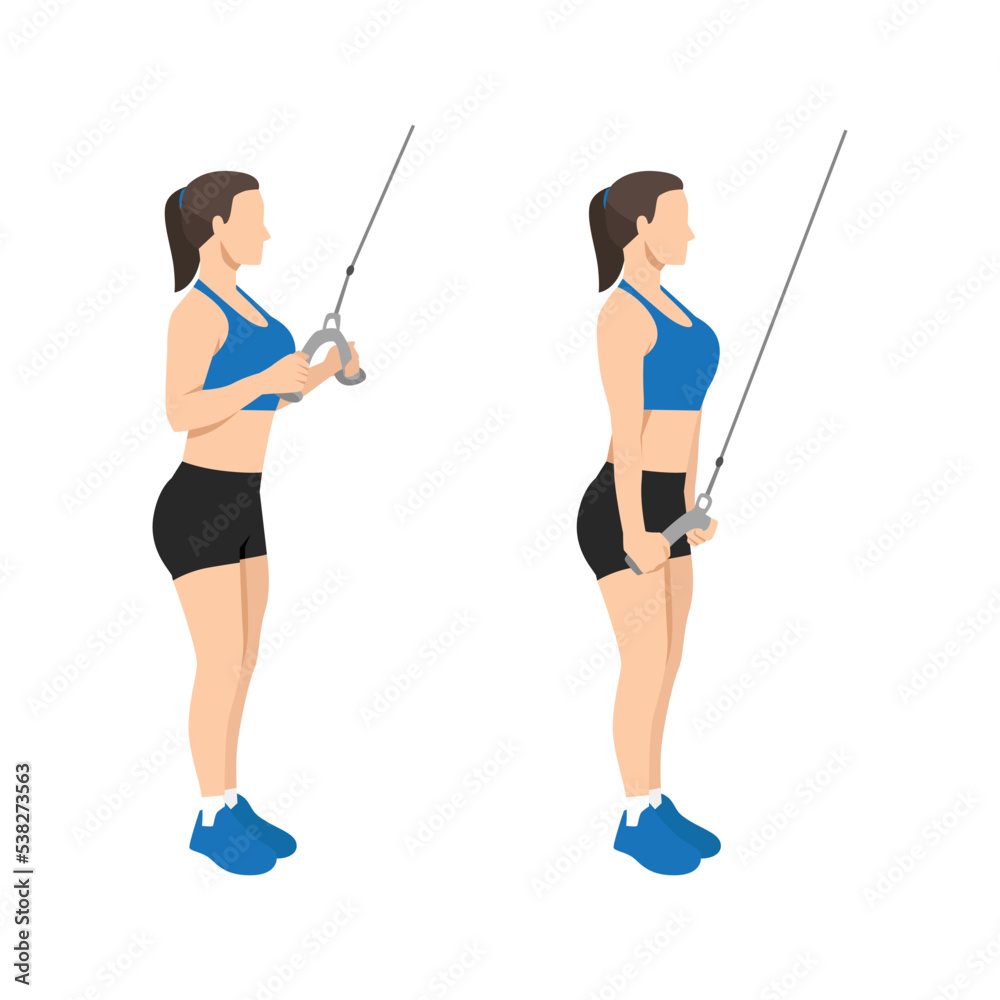 Woman doing cable tricep pull down or push exercise. Flat vector illustration isolated on white background Woman doing cable tricep pull down or push exercise. Flat vector illustration isolated on white background