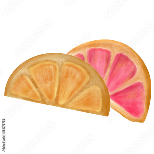 Orange slice watercolor