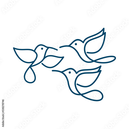 hummingbird logo, colibri wall art design, bird line logo icon illustration