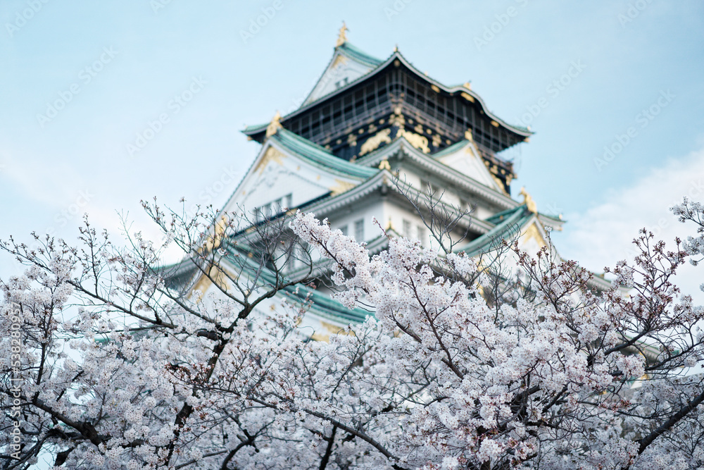 Osaka Castle Park in Cherry Blossom Season Osaka Castle Park in Cherry Blossom Season