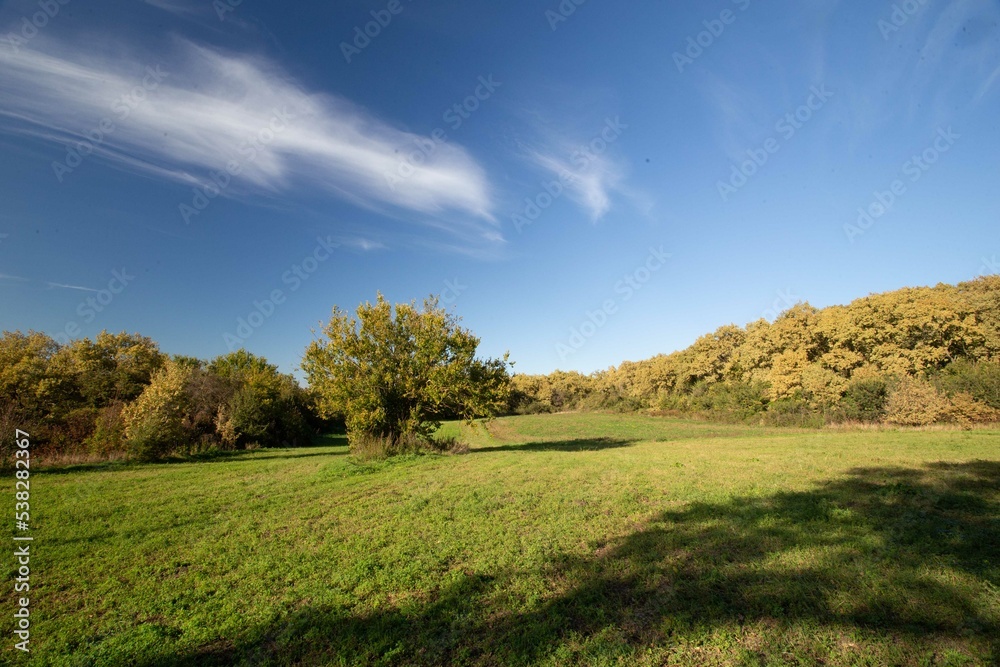 field and sky