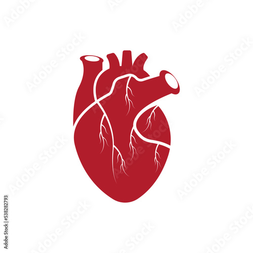 Human heart logo medical cardiology vector icon illustration