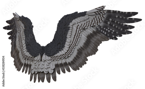 3D Rendered Fantasy Bird Wings Isolated On Transparent Background - 3D Illustration
