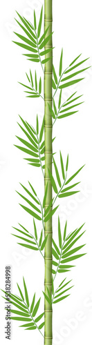 Bamboo stems with leaves