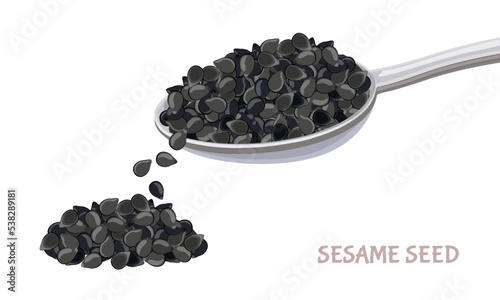 Black sesame in metal spoon and seed pile isolated on white. Vector illustration of healthy food in flat, simple style. Cooking ingredient.