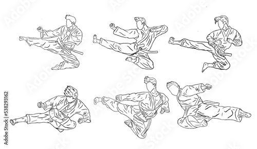 karate vector logo icon