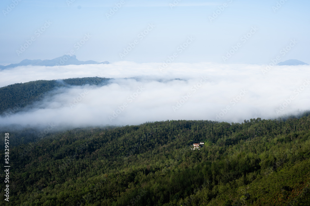 The isolated house inside forest under the clouds and mountains
