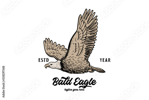 Vintage Retro American Flying Bald Eagle Hawk Falcon Bird Logo Design Vector