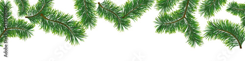 Christmas banner background with fir branches. Vector illustration © puckillustrations