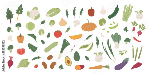 Collection of different vegetables. Bundle of organic natural crops, salads, greens and herbs. Vector illustration in flat cartoon style isolated on white background.