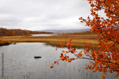 Autumn in lapland (Sweden)
