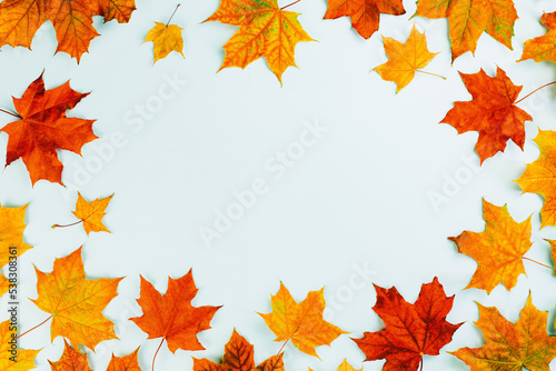 Autumn season. Yellow and bright orange autumn leaves flat lay on blue. Thanksgiving  fall harvest time concept with copy space. Foliage border frame with copy space background