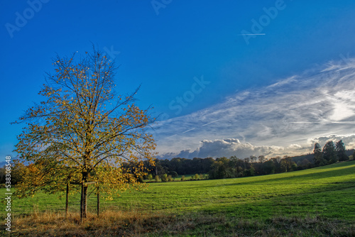 Autumn Trees with Cloud Formation 
