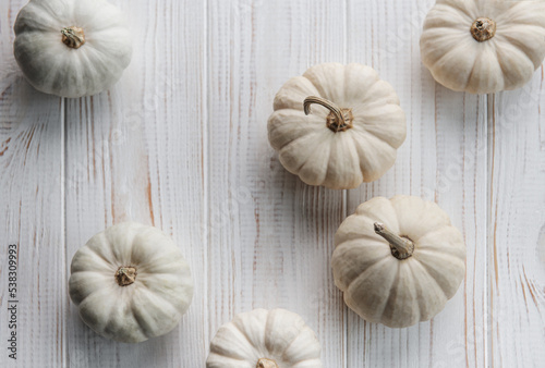 White pumpkins on a white wooden background