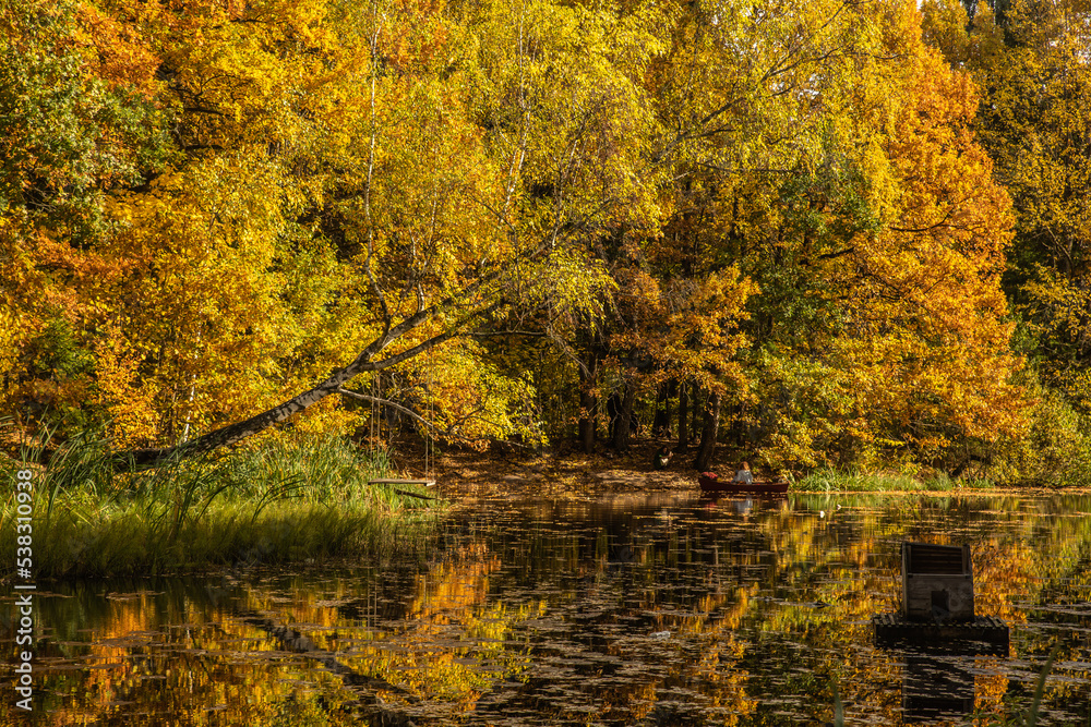 autumn in the woods and lake