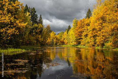 autumn landscape with lake
