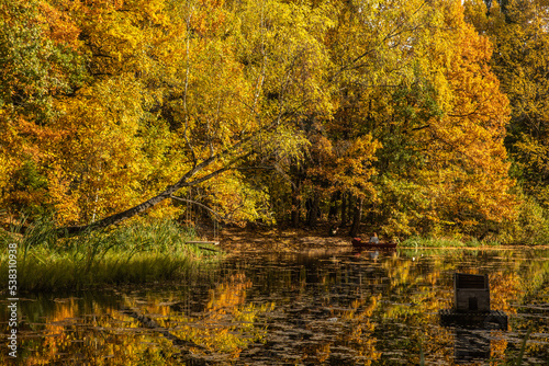 autumn in the woods and lake © maxim