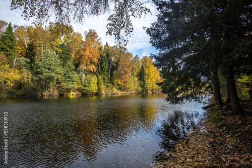 autumn in the woods and lake
