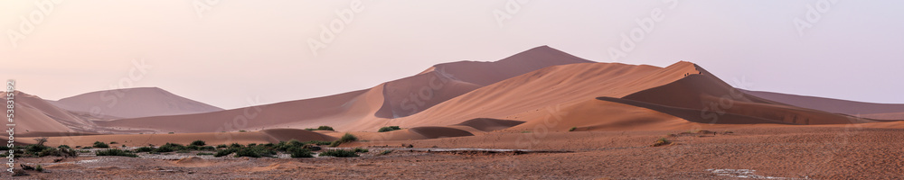 Panoramic landscape of Namib desert with biggest sand dunes of Sossusvlei valley, Namibia. Serenity scene in a desert at sunrise.