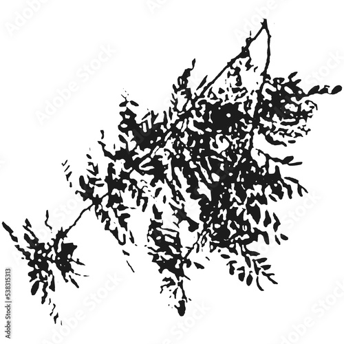 Realistic branches a silhouette of bare dry twigs,bushes and withering autumn nature.