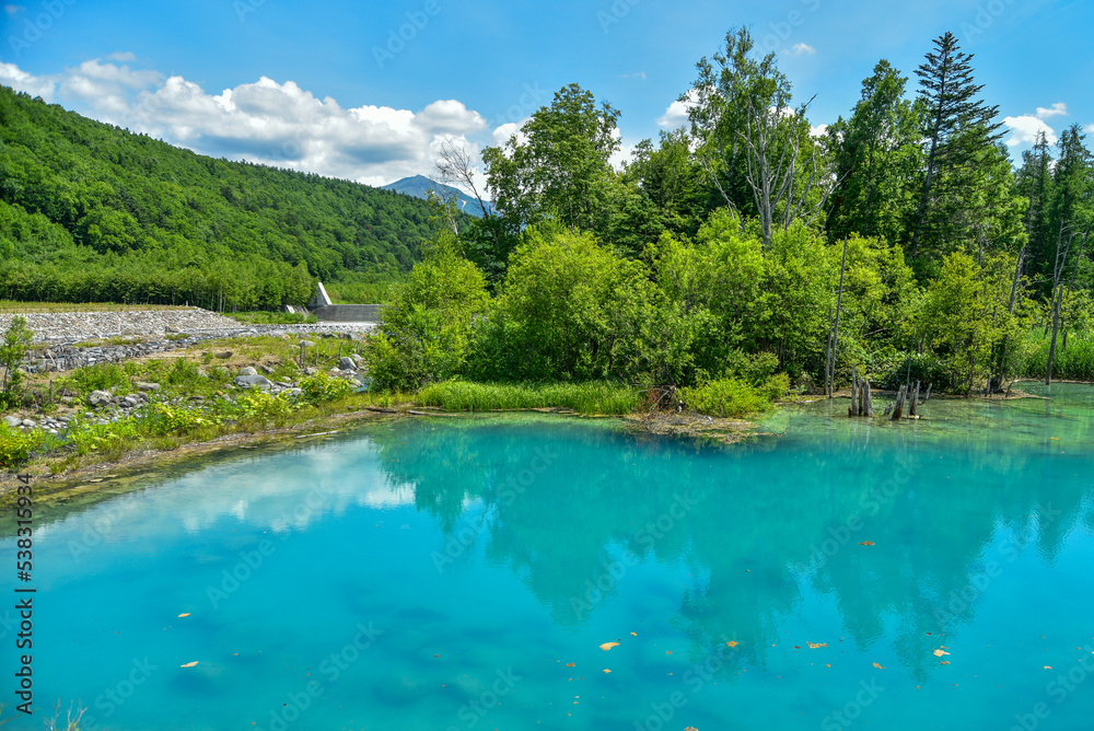 日本の北海道にある美瑛青い池の美しい風景