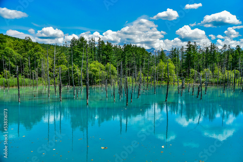 日本の北海道にある美瑛青い池の美しい風景