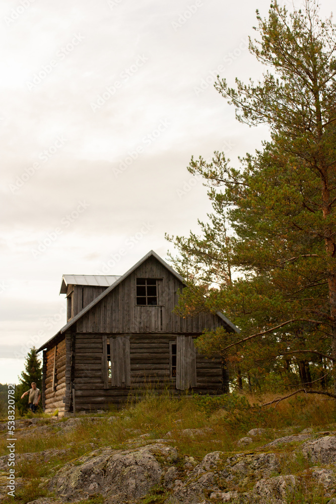 Abandoned wooden house standing alone in fir forest
