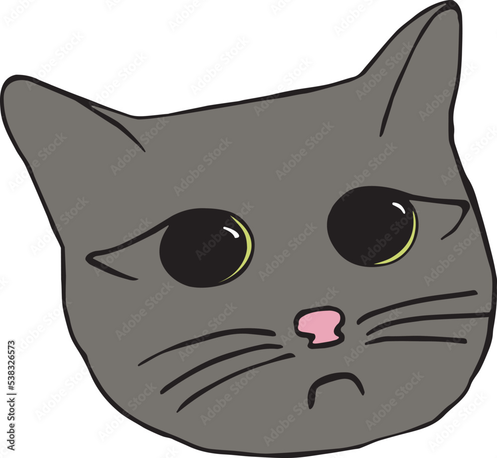 cute cat face with big black eyes cute cat face with big black eyes