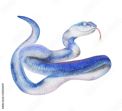 Transparent Background Blue snake Illustration Png. Transparent Clipart Image of watercolor Blue snake ready-to-use for site, article, prints. Chinese Zodiac animals